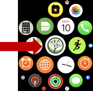 apple watch app icons